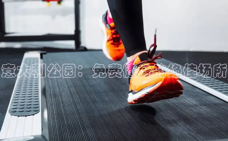 333体育手机版入口华策影视