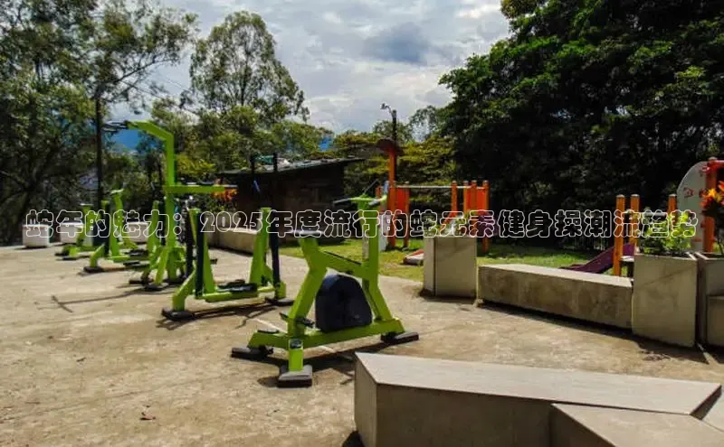 333体育app官方下载