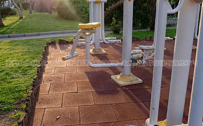 333体育官网登录入口