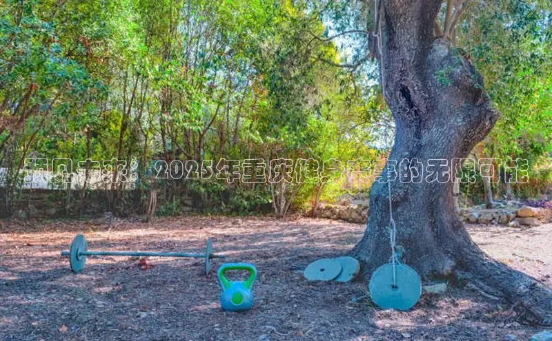 333体育app官方下载