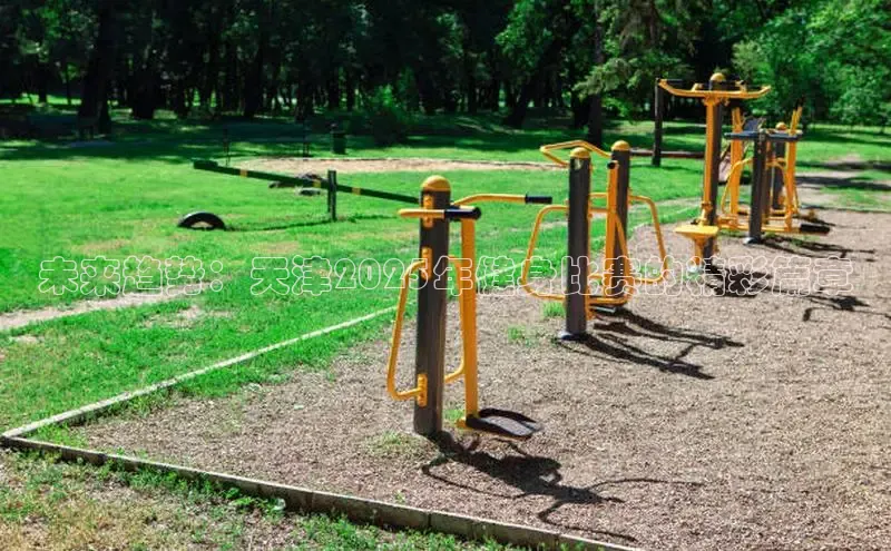 333体育官网下载