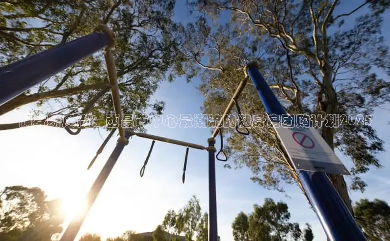 333体育官网登录入口