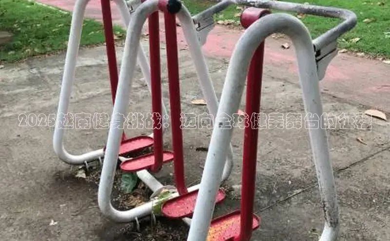 333体育平台app台登录