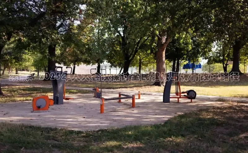 333体育手机版入口