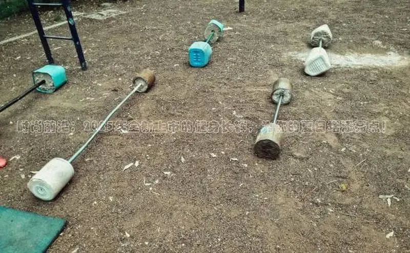 333体育网页登录