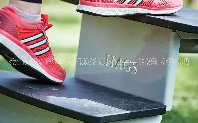 333体育官方网址